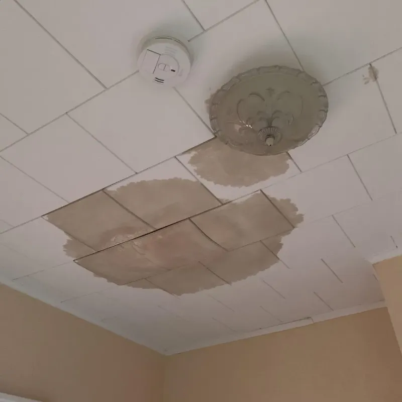 Ceiling Water Damage Repair in Delaware City, DE