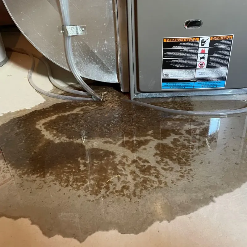 Pipe Burst and Leak Restoration in Delaware City, DE
