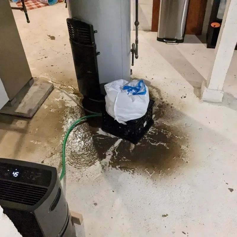Sewage Backup Cleanup Service in Delaware City, DE